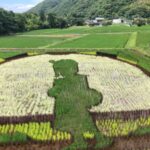 【伊豆市】月ヶ瀬田んぼアート！