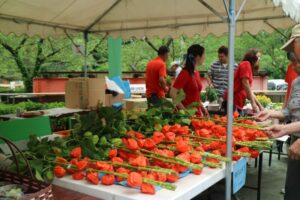 【浜松市】ほおずき市　開催！