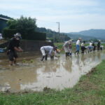 【浜松市】「奥山小学校田植え体験×なかまっこ」