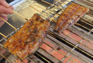 【湖西市】うなぎつかみ・さかなつかみ・釜揚げしらす 体験