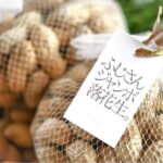 【富士宮市】隠れたソウルフード、高品質な「ふじさんジャンボ落花生」のご紹介♪