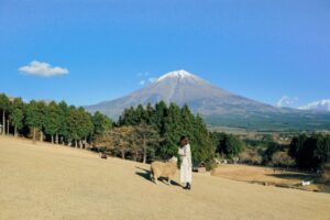 【富士宮市・富士市・裾野市・御殿場市・小山町】富士山麓4市1町を巡る「富士山ぐるっトリップ」開催中！