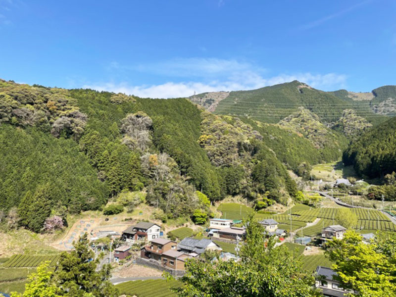 静岡県 静岡市 葵区 2 北部 (ゼンリン住宅地図) / ゼンリン 地図