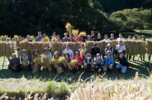 【森町】棚田交流会「稲刈り&新米昼食会」に参加しました！