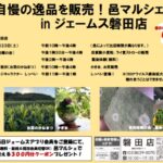 【磐田市】邑マルシェinジェームズ磐田店に行ってきました！