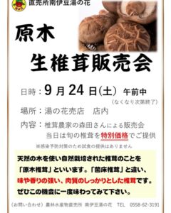 【南伊豆町】南伊豆湯の花、「原木生椎茸 販売会」開催！〈ふじのくに美しく品格のある邑「日野 元気な百姓達の里」〉