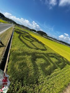 【浜松市西区】雄踏町田んぼアート