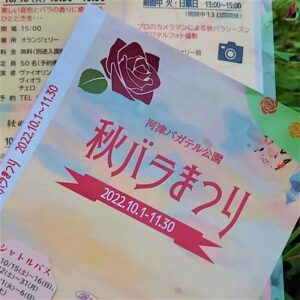 【河津町】河津バガテル公園、「秋バラまつり」開催！ 