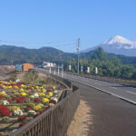 【富士宮市】「ざる菊とクラフト＆マルシェ」に行ってきました♪＜ふじのくに美しく品格のある邑「内房の里」＞