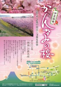 【函南町】「かんなみの桜まつり」開催！