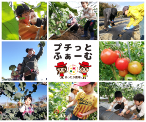 【浜松市】落花生の農作業体験！あったか農場プチっとふぁーむ