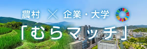 むらマッチ