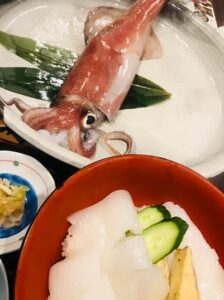 【下田市】初夏の風物詩「赤いかキャンペーン」！