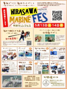 【沼津市】「平沢マリンフェス」開催！〈ふじのくに美しく品格のある邑「寿太郎みかんのふるさと 西浦」〉