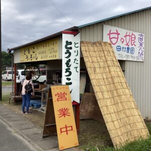 【森町】田村農園　森のとうもろこし「甘々娘」直売所！今年も始まりました。