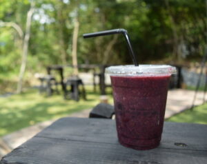 【富士宮市】森の中のキッチンカーカフェ mame no ne