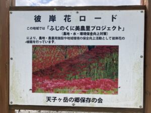 【富士宮市】天子ヶ岳の里 彼岸花が咲きはじめました！