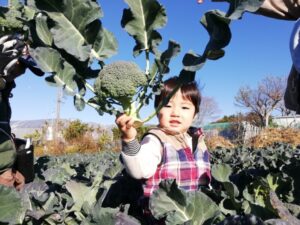 【浜松市西区】あったか農場「冬野菜の収穫祭」を行います！！