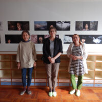 【藤枝市市之瀬】The Forestー鎮守の杜