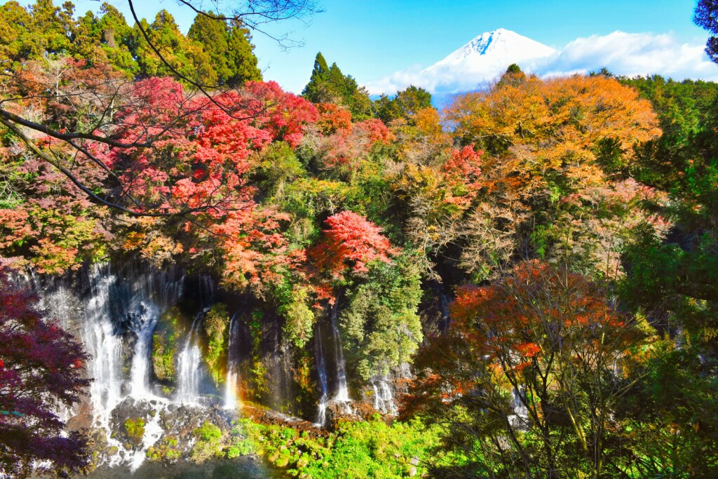 富士市(白糸の滝)