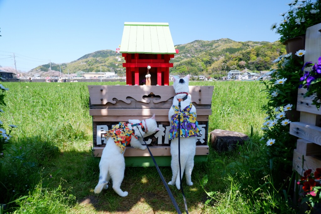 松崎町