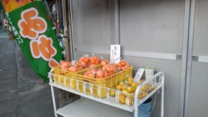 【島田市】神座の無人販売　ポンカン始まりました！