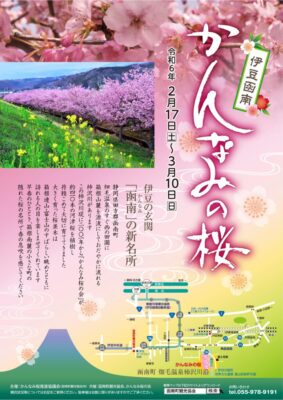 【函南町】「かんなみの桜まつり」開催！