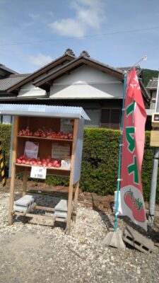 【島田市】神座無人販売の完熟トマト