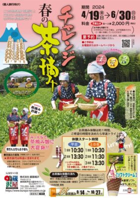 【伊豆の国市】蔵屋鳴沢「春のチャレンジ茶摘み」体験！