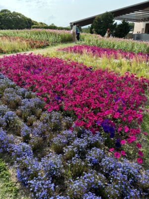 【浜松市中央区】浜名湖花博2024に行ってきました！