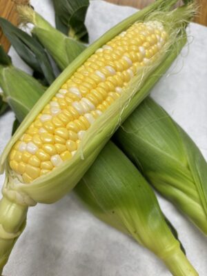 【森町】森町「甘々娘」の販売が始まりました！