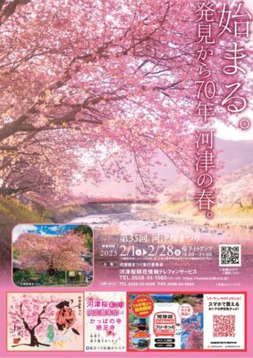 【河津市】「第35回河津桜まつり」開催します！！