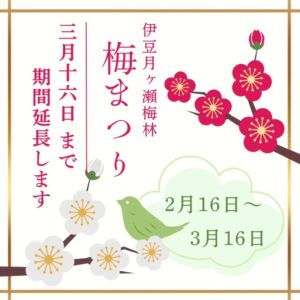 【伊豆市】梅まつりに行ってきました！〈ふじのくに美しく品格のある邑「伊豆月ヶ瀬梅の里」〉