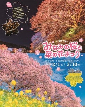 【南伊豆町】「みなみの桜と菜の花まつり」開催！