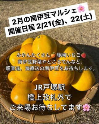 【南伊豆町】JR戸塚駅にて「南伊豆マルシェ」開催！