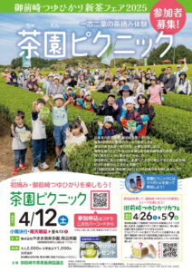 【御前崎市】茶園ピクニック 参加者募集！