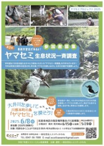【川根本町】川根本町の町の鳥「ヤマセミ」の生息状況を一斉調査！