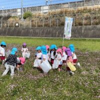 【富士市】須津幼稚園、ピンクの絨毯でお花摘み！