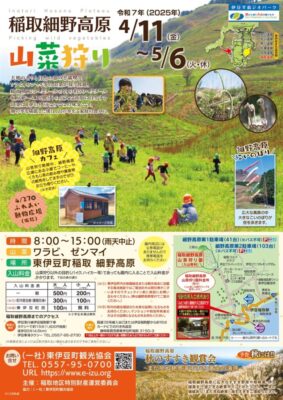 【東伊豆町】稲取細野高原「山菜狩り」！