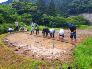 【森町】棚田交流会「田植え」が開催されました（森町天方鍛冶島地区）
