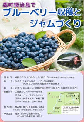 【森町】ブルーベリーの収穫とジャムづくり体験　参加者募集！（森町天方鍛治島地区）