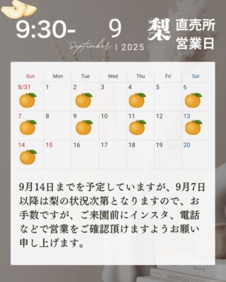 【焼津市】どんぐり農園　梨販売中！！