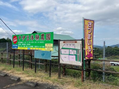 【伊豆市】「中伊豆体験農園」の収穫体験！