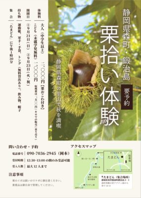 【森町】栗拾い体験（栗おこわ付き）参加者募集！！（森町天方鍛治島地区）