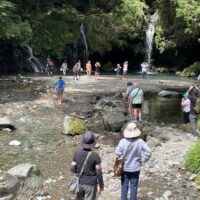 【富士宮市】「ダイヤモンドプリンセス号」の乗客が猪之頭を満喫