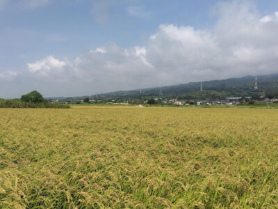 【富士市】秋の実り＠はるやま21