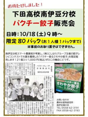 【南伊豆町】湯の花にて高校生発案の「パクチー餃子」販売！