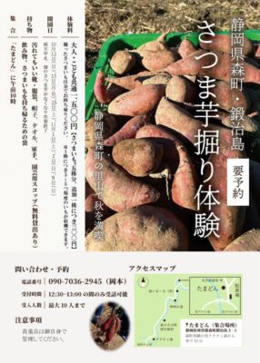 【森町】さつまいも掘り体験　参加者募集（森町天方鍛治島地区）