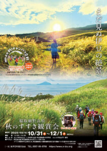 【東伊豆町】「稲取細野高原秋のすすき鑑賞会」開催!