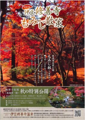 【伊豆市】伊豆・修善寺もみじ散策！